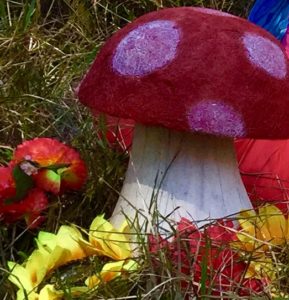 Mush Room A mushroom with a red hat and a red flower.