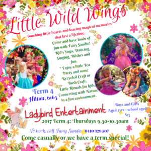 Screenshot-2017-10-08-07.43.27-300x300 A flyer for little wild wings.